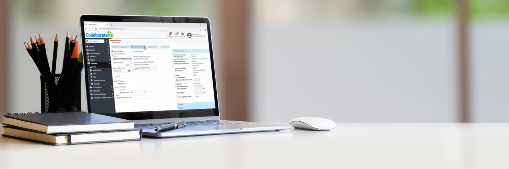 Healthcare professional using practice management software on a computer