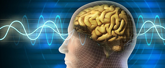 Illustration of a human brain with signal lines going through it.